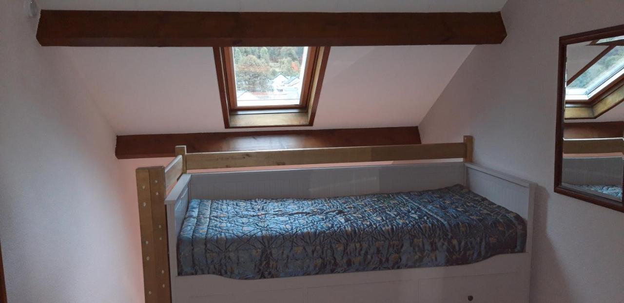 Montagne Ariegeoise Apartamento Aulus-les-Bains Exterior foto